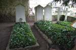 &laquo;&nbsp;Je devine un frémissement sous les feuilles mortes&nbsp;&raquo; Cimetière de&nbsp;Nohant