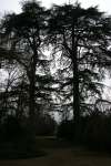 Jardin (13)