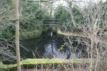Jardin (1)