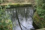 Jardin (4)
