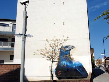 fictions de rue 8- Irony et Boe